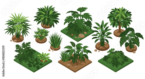 Isometric tropical plants collection with lush green foliage in various arrangements