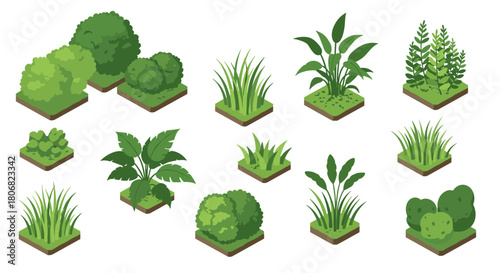 Isometric greenery: diverse plant varieties on grass plots