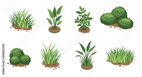 Diverse isometric greenery set with shrubs and plants in minimalist style