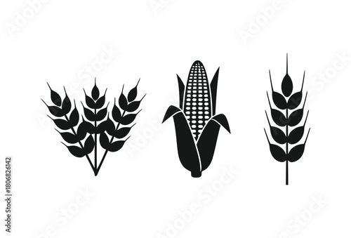 Vector illustration of wheat and cereal ears, leaves, and feather elements for nature-inspired pattern design