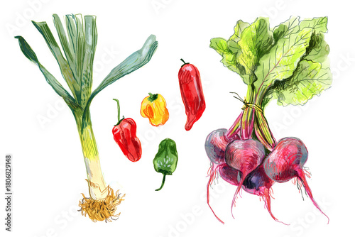 Watercolor Vegetables Set – Leek, Beetroot and Peppers Illustration