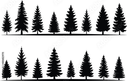 Pine and spruce tree silhouette vector collection, evergreen fir forest nature landscape set, black coniferous plants isolated on white