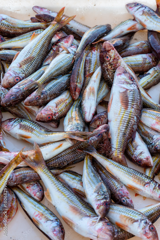 Fototapeta premium Fish anchovy background in fishermen market store shop, Italy