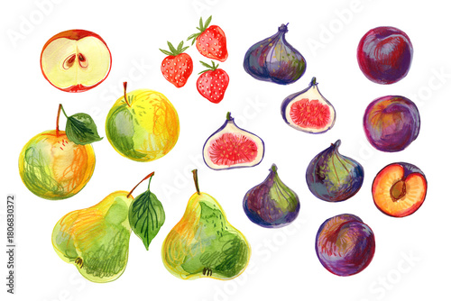 Watercolor Fruit Collection – Apples, Pears, Strawberries, Figs and Plums