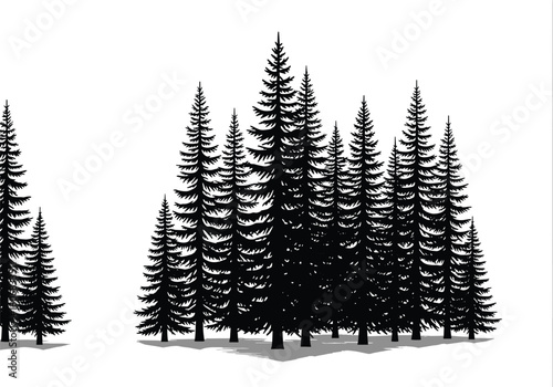 Forest of pine trees silhouette, black evergreen woods isolated on white background, nature landscape design, cad drawing flat vector illustration.