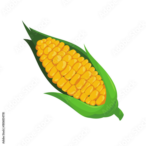 Sweet Corn Cob with Husk Cartoon Illustration