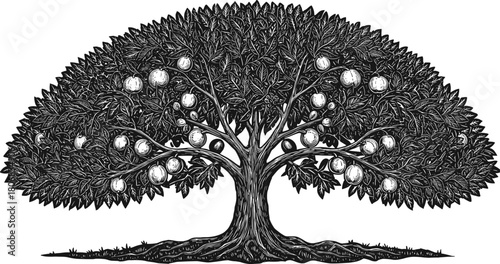 Fruit tree illustration, black and white tree, detailed foliage, round fruits, symbolic tree art, nature drawing, botanical sketch, decorative tree design