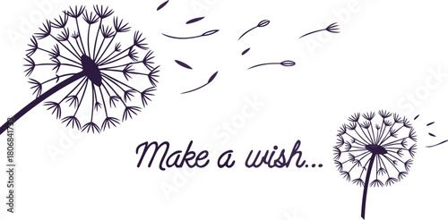 Dandelion seeds blowing in the wind with the text make a wish isolated on transparent background