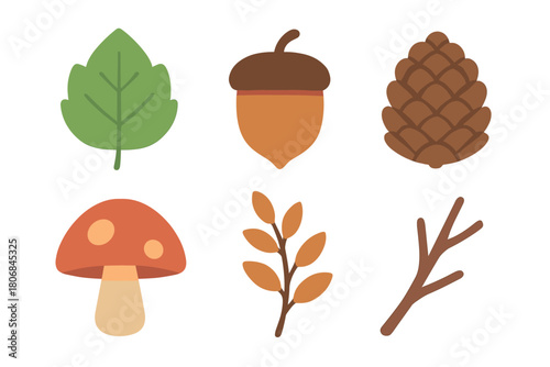 Autumn forest elements for nature themed design. Set of 6 vector illustration
