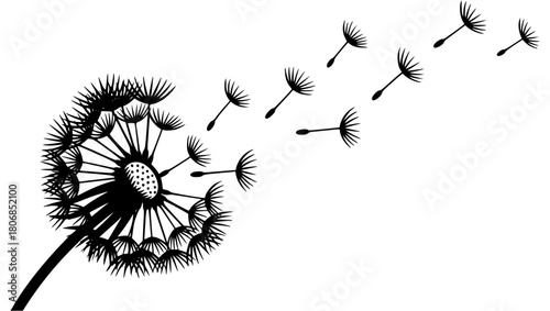 A delicate dandelion vector art on a white background, featuring fine lines and soft details. The floating seeds evoke a sense of freedom, renewal, and nature's fleeting beauty in a minimalist design.