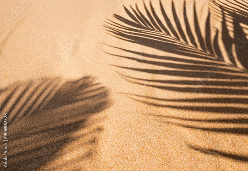 Fototapeta Naklejka Na Ścianę i Meble -  sand dunes on the beach