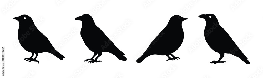 Fototapeta premium Four black bird silhouettes isolated on a white background
