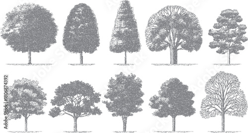 Ten distinct grey ink sketch style trees with varied shapes and foliage rendered on a white background