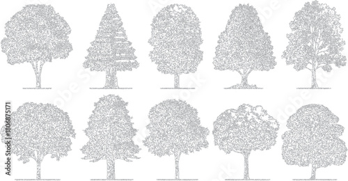Ten diverse trees depicted in a stippled line art style with detailed foliage and trunks against a white background