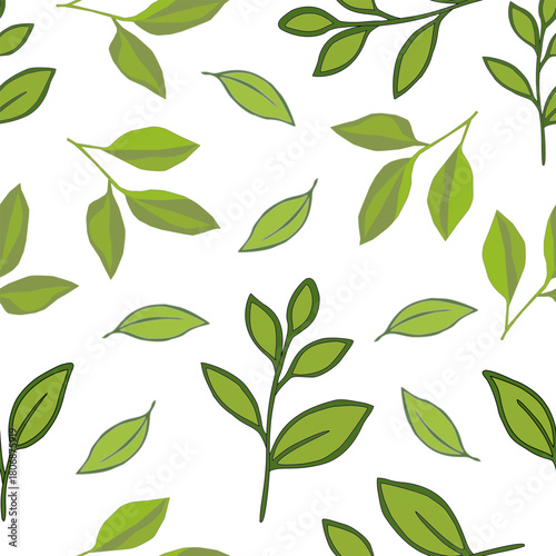 tea leaves pattern background. green leaves vector pattern background. Green tea leaf seamless pattern. seamless patterns with green leaves of tea