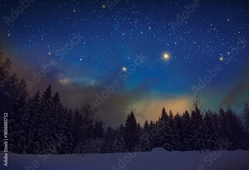 Night stars sky in a winter forest landscape.