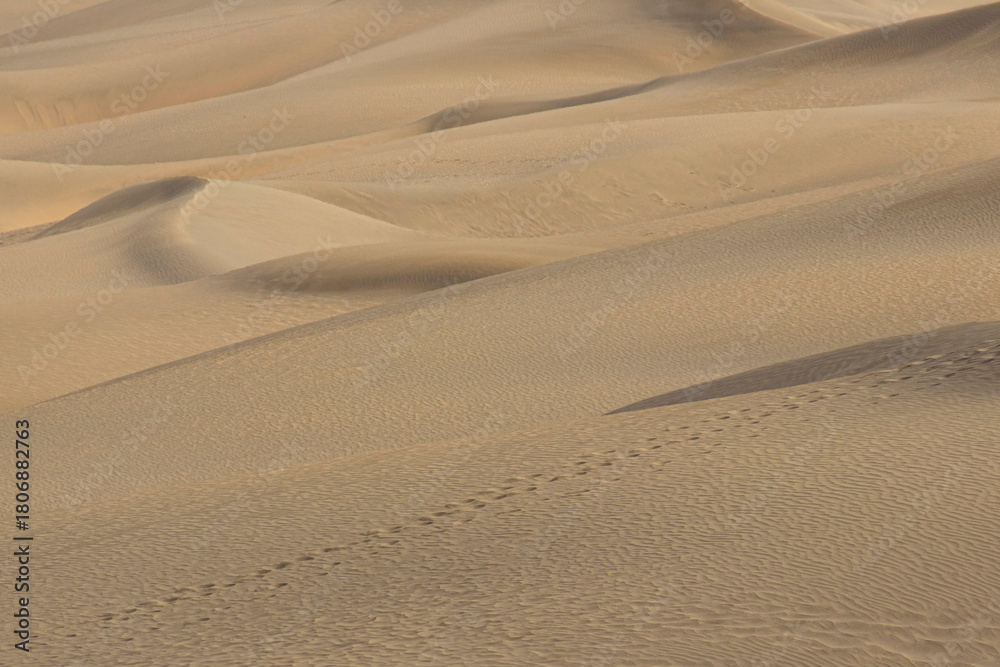 Obraz premium Dunes de Maspalomas 