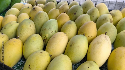 Perfectly ripe mangoes are neatly displayed on a market sales rack. These sweet, ready-to-eat tropical fruits await purchase. They are arranged appealingly for immediate consumption.