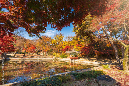 Photography antumn scenery of juhamun pavilion of secret garden changdeokgung palace seoul s