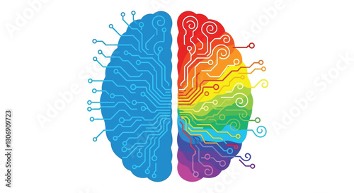 A colorful depiction of a human brain split into two distinct hemispheres