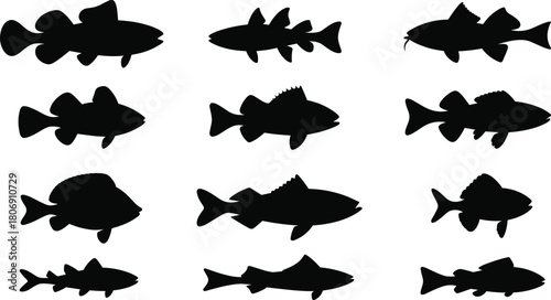 Fish silhouette illustration set, aquatic species shapes, marine animal icons, underwater graphic, ocean life symbol, ichthyology design