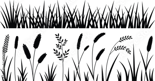 Grass and plant silhouette illustration set, botanical shapes, ornamental foliage icons, nature graphic, garden design, wild flora symbols