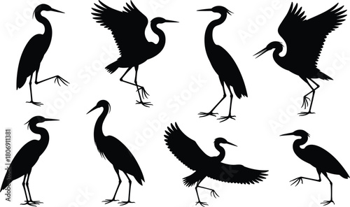 Heron silhouette illustration set, flying and standing bird icons, nature graphic, wetland wildlife symbol, elegant posture design