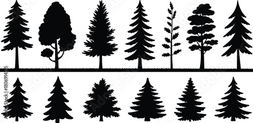 Tree silhouette illustration set, deciduous and coniferous shapes, botanical icons, forest graphic, nature symbol, landscape design elements