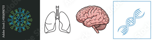 Microbe, Lung, Brain, and DNA Strand Illustrations in a Row