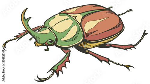 Illustration of a rhinoceros beetle insect vector drawing for biology education and nature themed designs art
