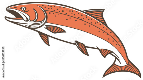Salmon fish clip art vector illustration for fishing and seafood designs and ocean life representation