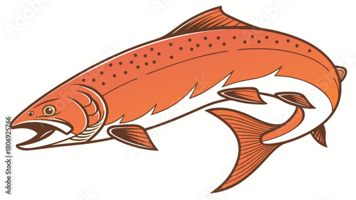 Illustration of a jumping salmon fish for seafood restaurant logo or fishing sport design vector art 100