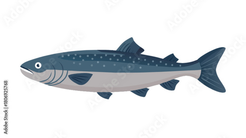 Illustration of a blue trout fish swimming in the ocean for seafood market and fishing guides