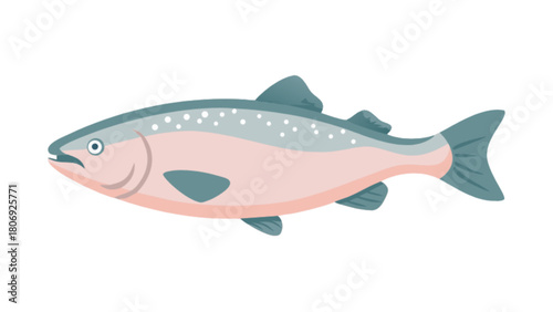 Illustration of salmon fish swimming in water, salmon seafood, salmon fish vector drawing, salmon art, fish