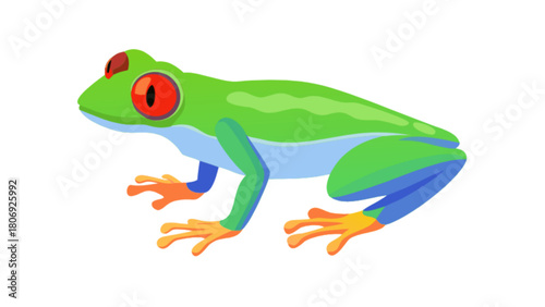 Red eyed tree frog vector illustration amphibian exotic animal rainforest wildlife tropical frog illustration
