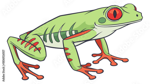 Red eyed tree frog vector illustration amphibian drawing tropical rainforest animal exotic wildlife nature art 100