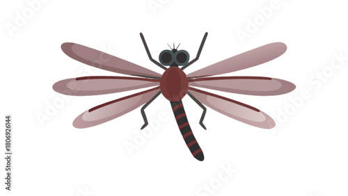 Illustration of a dragonfly insect with wings and striped body for nature and wildlife enthusiasts