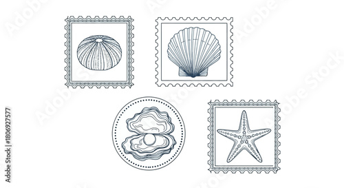 Postage Stamps Featuring Shells and Starfish for Marine-Themed Design