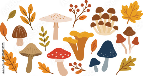 A simple flat vector illustration of autumn mushrooms and fall leaves. A cozy seasonal design perfect for Thanksgiving, fall decor, woodland themes, and rustic backgrounds, featuring earthy forest fun