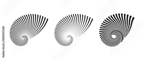 An intricate spiral logo inspired by the nautilus shell, featuring a fractal art design with golden ratio line art