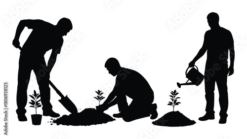 Tree planting process silhouettes isolated on white background, Vector