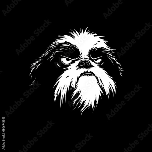 Grumpy dog face with white fur against black background