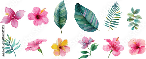 set of colored leaves