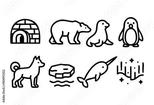 Illustrations featuring an igloo, a bear, a seal, a penguin, a dog, floating ice, a narwhal, and northern lights, showcasing wildlife and landscapes of polar regions.