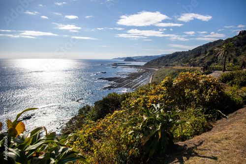 Принти на полотні Coastline and parking area in Aoshima, Miyazaki Prefecture, Kyushu, Japan