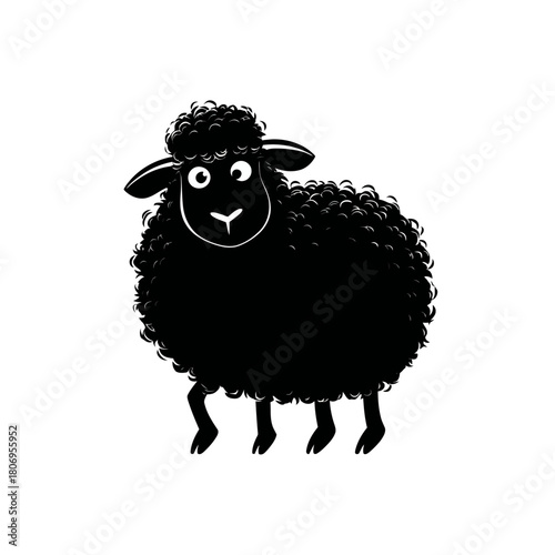 Sheep illustration on white background