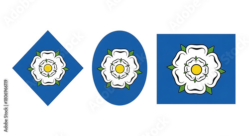 Three white roses with yellow centers on blue backgrounds in different shapes isolated on white background