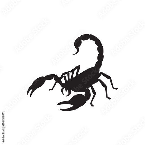 Scorpion isolated on white background, a predatory arachnid with a segmented tail tipped with a venomous stinger, known for its nocturnal habits