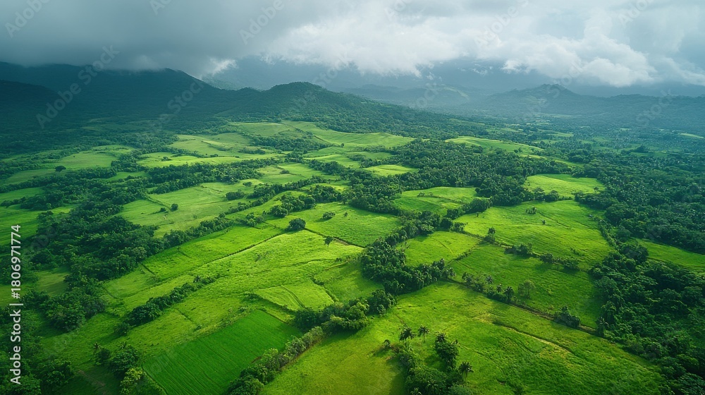 Fototapeta premium Farm landscape with tilled field turning into meadow