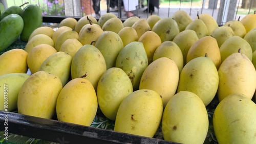 Perfectly ripe mangoes are neatly displayed on a market sales rack. These sweet, ready-to-eat tropical fruits await purchase. They are arranged appealingly for immediate consumption.
